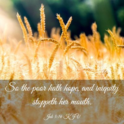 Picture 03 - Job 5:16 KJV - So the poor hath hope, and iniquity stoppeth her - Bible Verse Picture