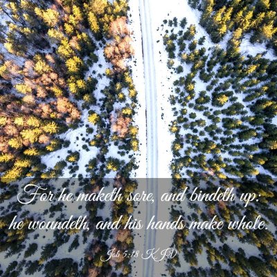 Picture 03 - Job 5:18 KJV - For he maketh sore, and bindeth up: he woundeth, - Bible Verse Picture