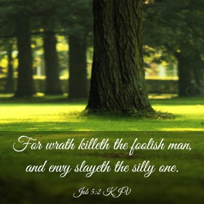 Picture 03 - Job 5:2 KJV - For wrath killeth the foolish man, and envy - Bible Verse Picture