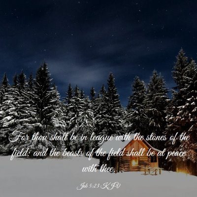 Picture 03 - Job 5:23 KJV - For thou shalt be in league with the stones of - Bible Verse Picture