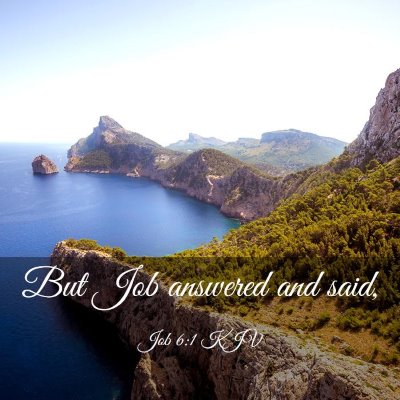 Picture 03 - Job 6:1 KJV - But Job answered and - Bible Verse Picture
