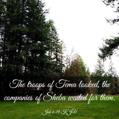 Picture 03 - Job 6:19 KJV - The troops of Tema looked, the companies of Sheba - Bible Verse Picture