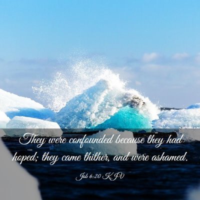 Picture 03 - Job 6:20 KJV - They were confounded because they had hoped; they - Bible Verse Picture