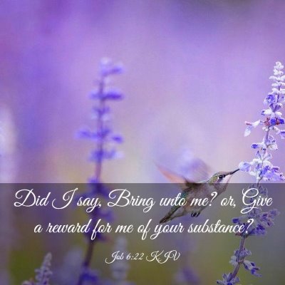 Picture 03 - Job 6:22 KJV - Did I say, Bring unto me? or, Give a reward for - Bible Verse Picture