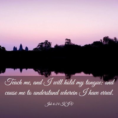 Picture 03 - Job 6:24 KJV - Teach me, and I will hold my tongue: and cause me - Bible Verse Picture