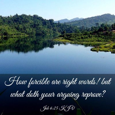 Picture 03 - Job 6:25 KJV - How forcible are right words! but what doth your - Bible Verse Picture