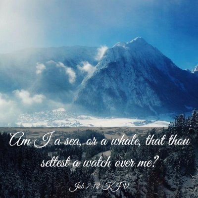 Picture 03 - Job 7:12 KJV - Am I a sea, or a whale, that thou settest a watch - Bible Verse Picture