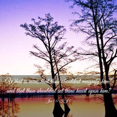 Picture 03 - Job 7:17 KJV - What is man, that thou shouldest magnify him? and - Bible Verse Picture