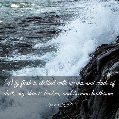 Picture 03 - Job 7:5 KJV - My flesh is clothed with worms and clods of dust; - Bible Verse Picture
