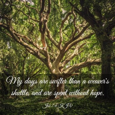Picture 03 - Job 7:6 KJV - My days are swifter than a weaver's shuttle, and - Bible Verse Picture