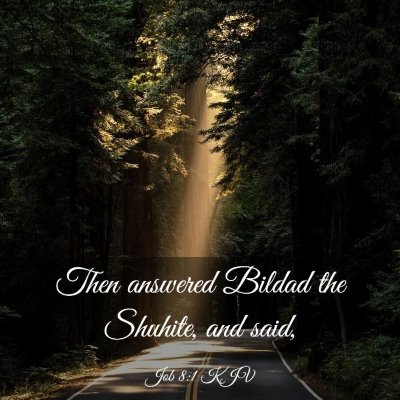 Picture 03 - Job 8:1 KJV - Then answered Bildad the Shuhite, and - Bible Verse Picture
