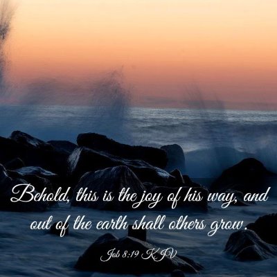 Picture 03 - Job 8:19 KJV - Behold, this is the joy of his way, and out of - Bible Verse Picture