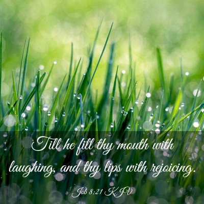 Picture 03 - Job 8:21 KJV - Till he fill thy mouth with laughing, and thy - Bible Verse Picture