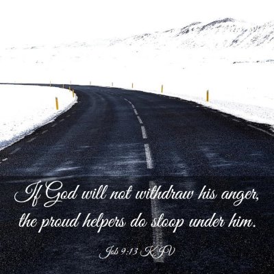 Picture 03 - Job 9:13 KJV - If God will not withdraw his anger, the proud - Bible Verse Picture