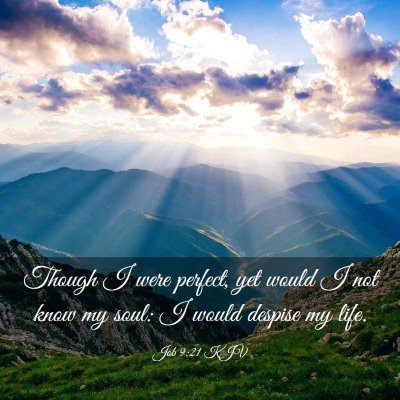 Picture 03 - Job 9:21 KJV - Though I were perfect, yet would I not know my - Bible Verse Picture