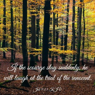 Picture 03 - Job 9:23 KJV - If the scourge slay suddenly, he will laugh at - Bible Verse Picture