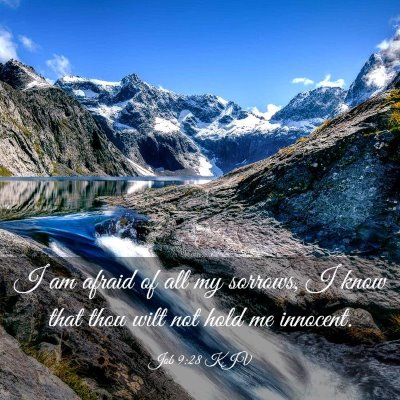 Picture 03 - Job 9:28 KJV - I am afraid of all my sorrows, I know that thou - Bible Verse Picture