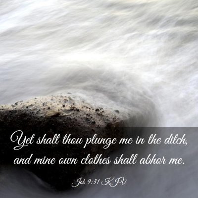 Picture 03 - Job 9:31 KJV - Yet shalt thou plunge me in the ditch, and mine - Bible Verse Picture