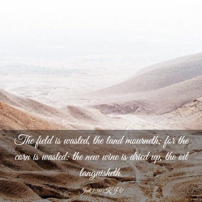 Picture 03 - Joel 1:10 KJV - The field is wasted, the land mourneth; for the - Bible Verse Picture