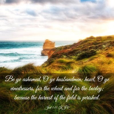 Picture 03 - Joel 1:11 KJV - Be ye ashamed, O ye husbandmen; howl, O ye - Bible Verse Picture