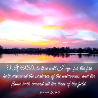 Picture 03 - Joel 1:19 KJV - O LORD, to thee will I cry: for the fire hath - Bible Verse Picture