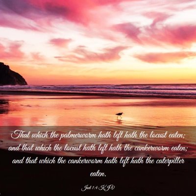 Picture 03 - Joel 1:4 KJV - That which the palmerworm hath left hath the - Bible Verse Picture