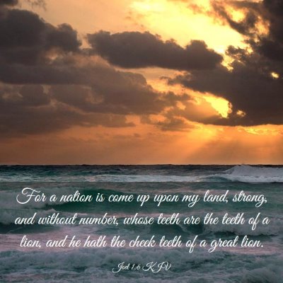 Picture 03 - Joel 1:6 KJV - For a nation is come up upon my land, strong, and - Bible Verse Picture