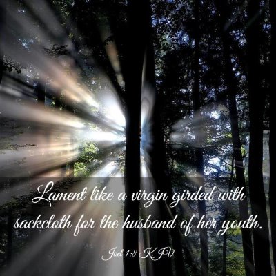 Picture 03 - Joel 1:8 KJV - Lament like a virgin girded with sackcloth for - Bible Verse Picture