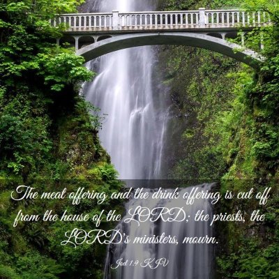 Picture 03 - Joel 1:9 KJV - The meat offering and the drink offering is cut - Bible Verse Picture
