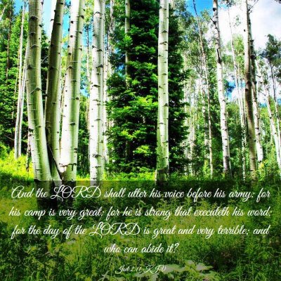 Picture 03 - Joel 2:11 KJV - And the LORD shall utter his voice before his - Bible Verse Picture