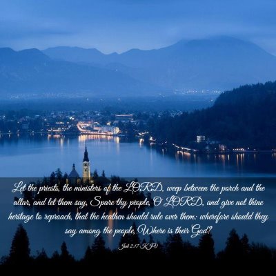 Picture 03 - Joel 2:17 KJV - Let the priests, the ministers of the LORD, weep - Bible Verse Picture
