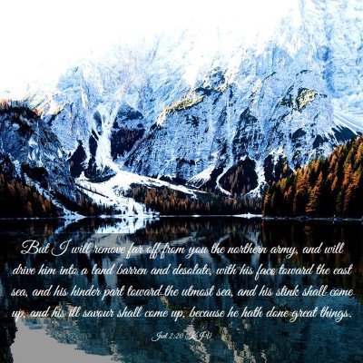 Picture 03 - Joel 2:20 KJV - But I will remove far off from you the northern - Bible Verse Picture