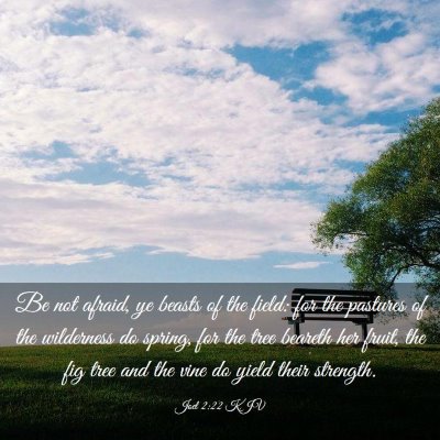 Picture 03 - Joel 2:22 KJV - Be not afraid, ye beasts of the field: for the - Bible Verse Picture
