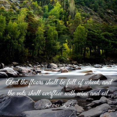Picture 03 - Joel 2:24 KJV - And the floors shall be full of wheat, and the - Bible Verse Picture