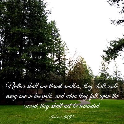 Picture 03 - Joel 2:8 KJV - Neither shall one thrust another; they shall walk - Bible Verse Picture