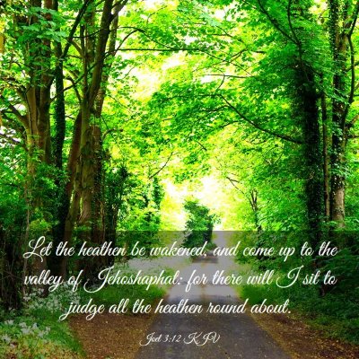 Picture 03 - Joel 3:12 KJV - Let the heathen be wakened, and come up to the - Bible Verse Picture