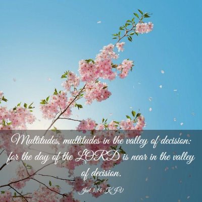 Picture 03 - Joel 3:14 KJV - Multitudes, multitudes in the valley of decision: - Bible Verse Picture