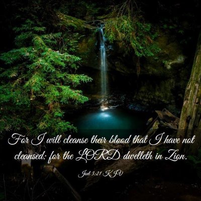 Picture 03 - Joel 3:21 KJV - For I will cleanse their blood that I have not - Bible Verse Picture
