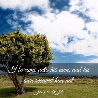 Picture 03 - John 1:11 KJV - He came unto his own, and his own received him - Bible Verse Picture