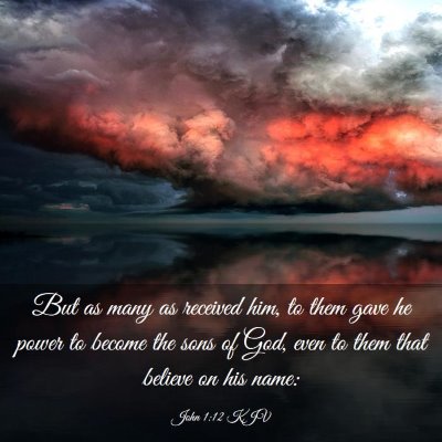 Picture 03 - John 1:12 KJV - But as many as received him, to them gave he - Bible Verse Picture