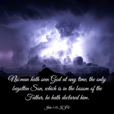 Picture 03 - John 1:18 KJV - No man hath seen God at any time, the only - Bible Verse Picture