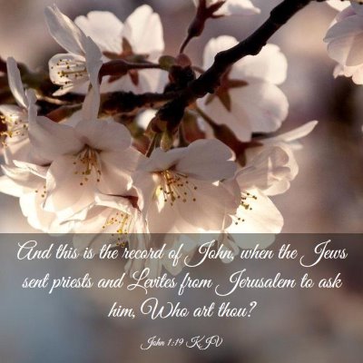 Picture 03 - John 1:19 KJV - And this is the record of John, when the Jews - Bible Verse Picture