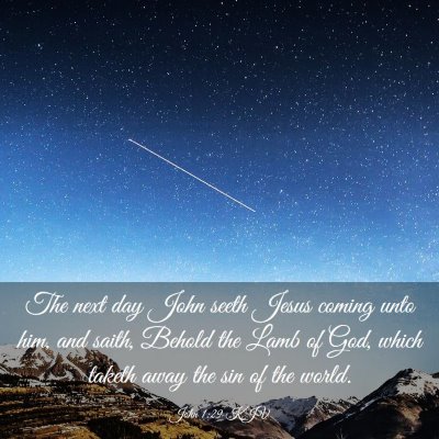 Picture 03 - John 1:29 KJV - The next day John seeth Jesus coming unto him, - Bible Verse Picture