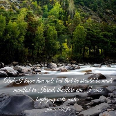 Picture 03 - John 1:31 KJV - And I knew him not: but that he should be made - Bible Verse Picture