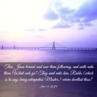 Picture 03 - John 1:38 KJV - Then Jesus turned, and saw them following, and - Bible Verse Picture