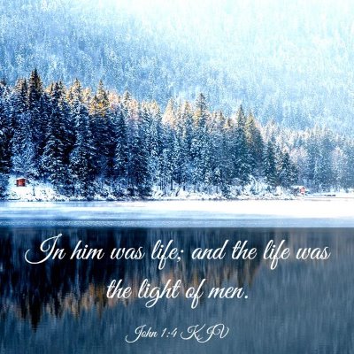 Picture 03 - John 1:4 KJV - In him was life; and the life was the light of - Bible Verse Picture