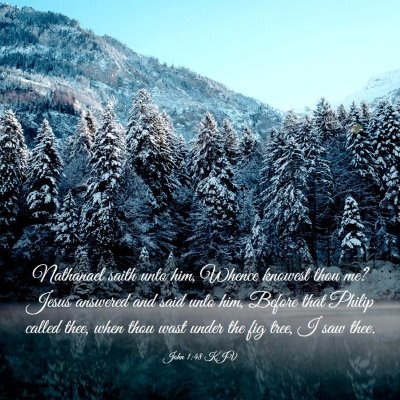 Picture 03 - John 1:48 KJV - Nathanael saith unto him, Whence knowest thou me? - Bible Verse Picture