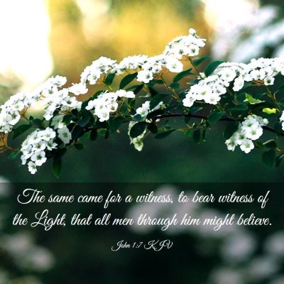 Picture 03 - John 1:7 KJV - The same came for a witness, to bear witness of - Bible Verse Picture