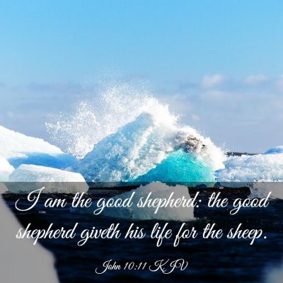 Picture 03 - John 10:11 KJV - I am the good shepherd: the good shepherd giveth - Bible Verse Picture