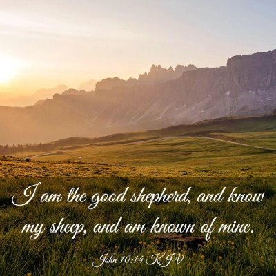 Picture 03 - John 10:14 KJV - I am the good shepherd, and know my sheep, and am - Bible Verse Picture